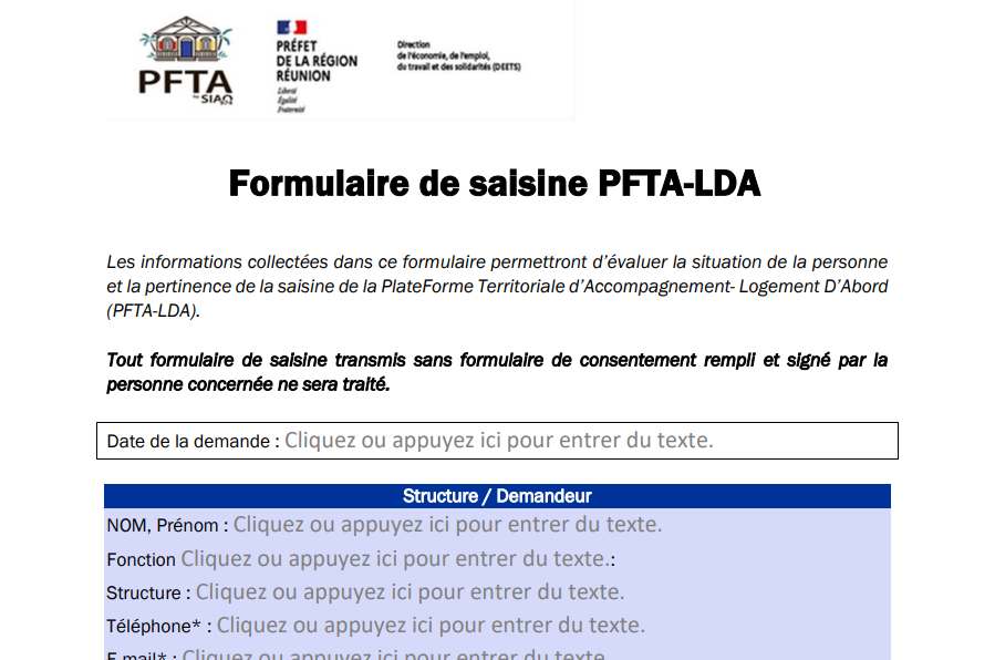 modèle du formulaire de saisine